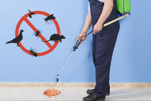 best pest control services in ahmedabad