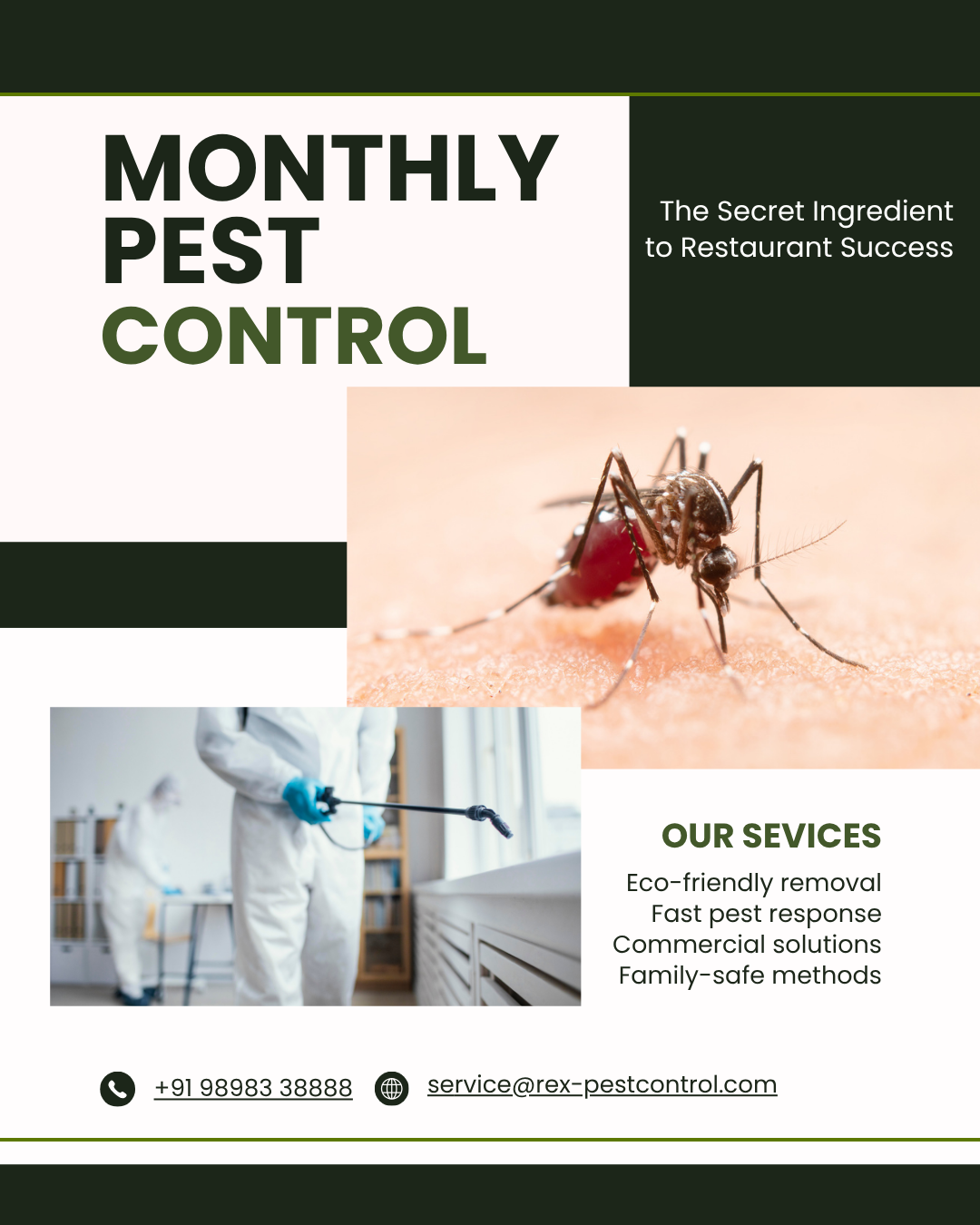 Restaurant kitchen pest control service